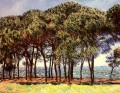 Pine Trees Cap d Antibes Claude Monet